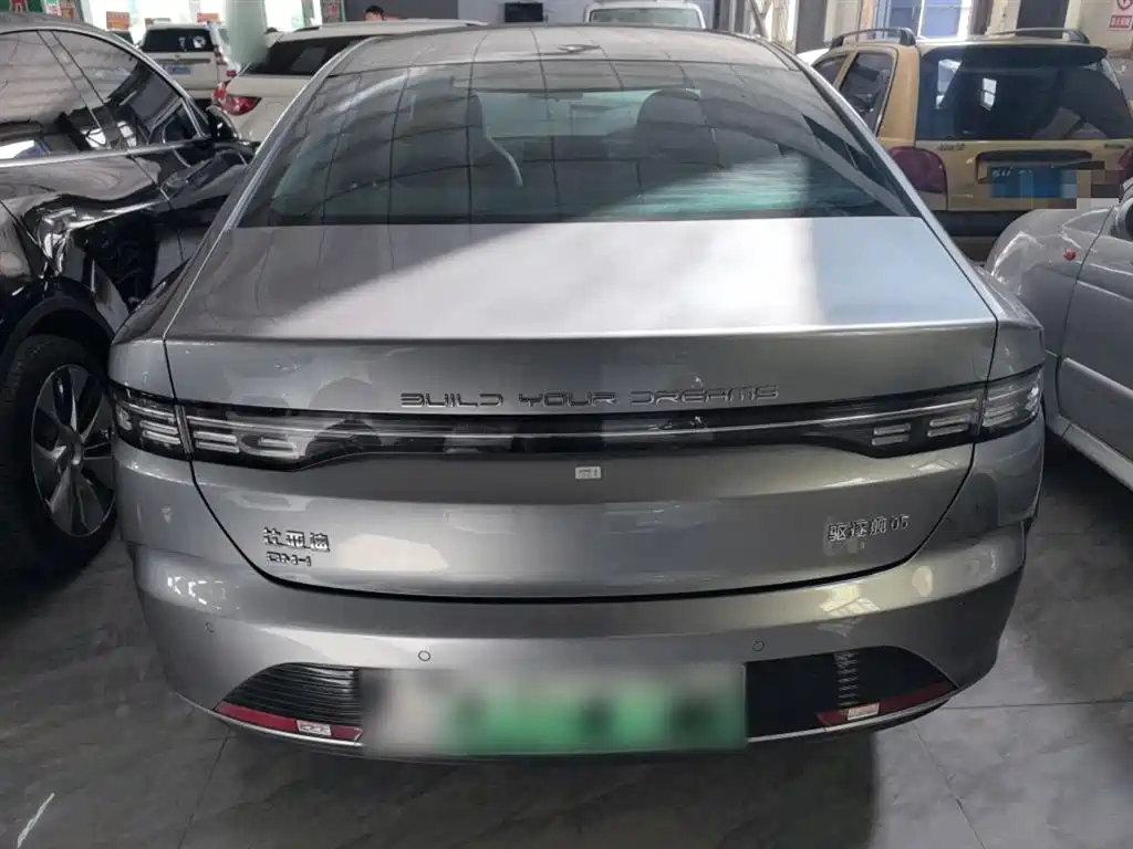 BYD Destroyer 05 2024 Glory Edition DM-i 55KM Luxury фото 4