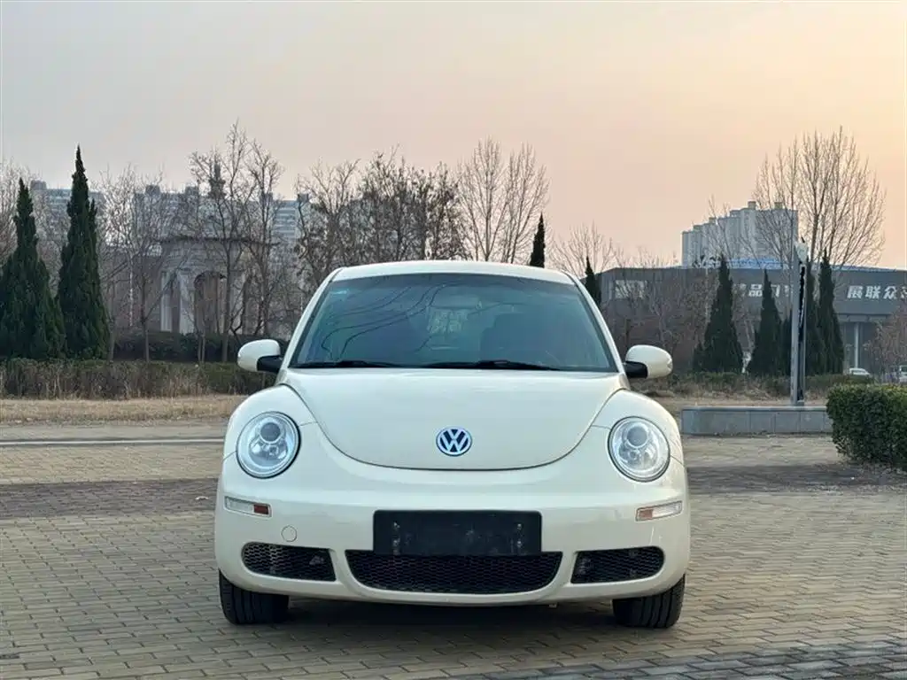 Volkswagen Beetle 2010 Model 1.6 AT фото 2