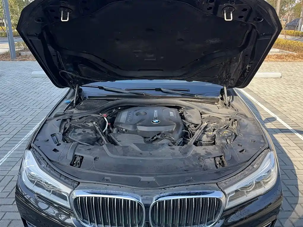 BMW 7 Series 2016 730Li Leading фото 11