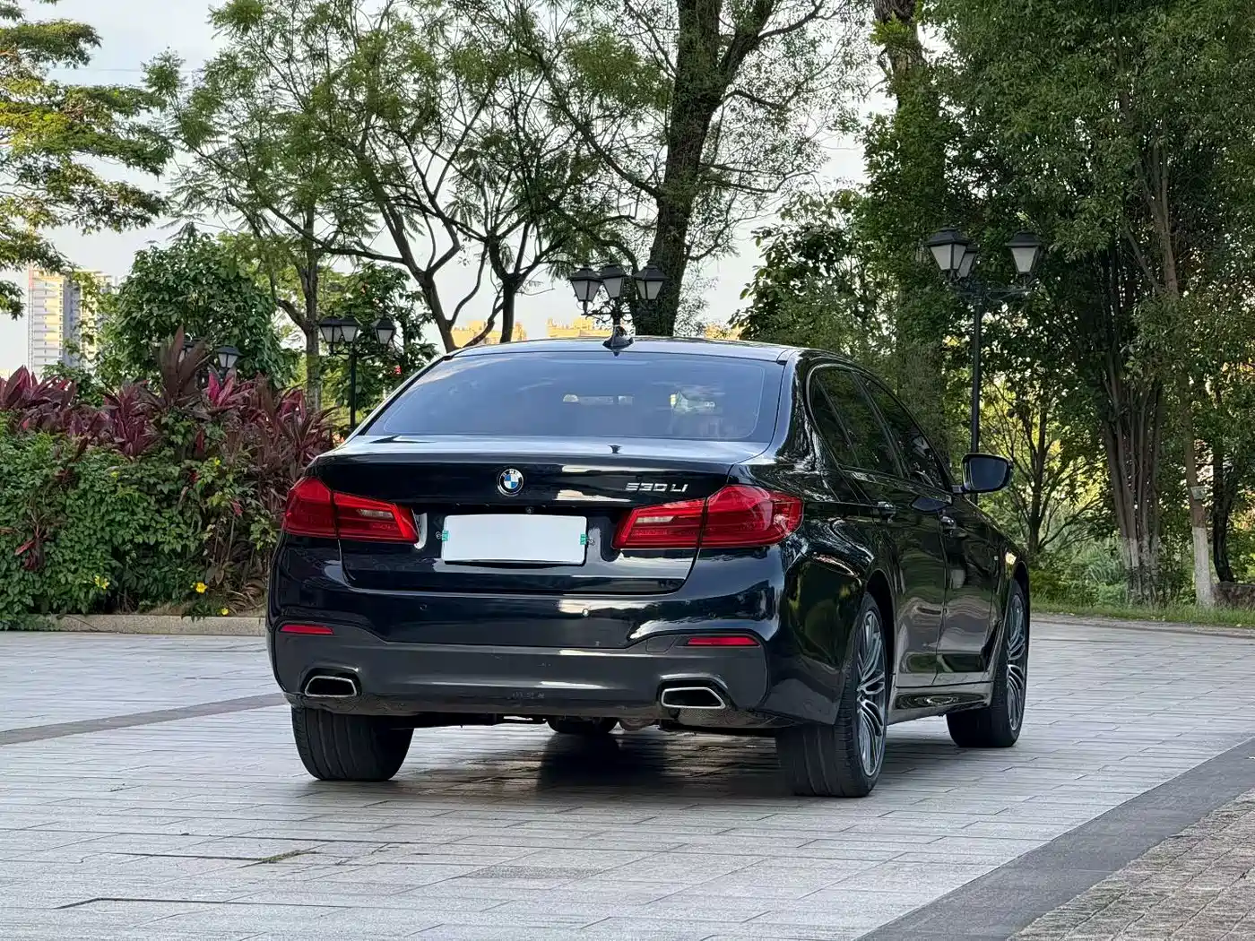 BMW 5 Series 2018 530Li Premium M Sport Package фото 7