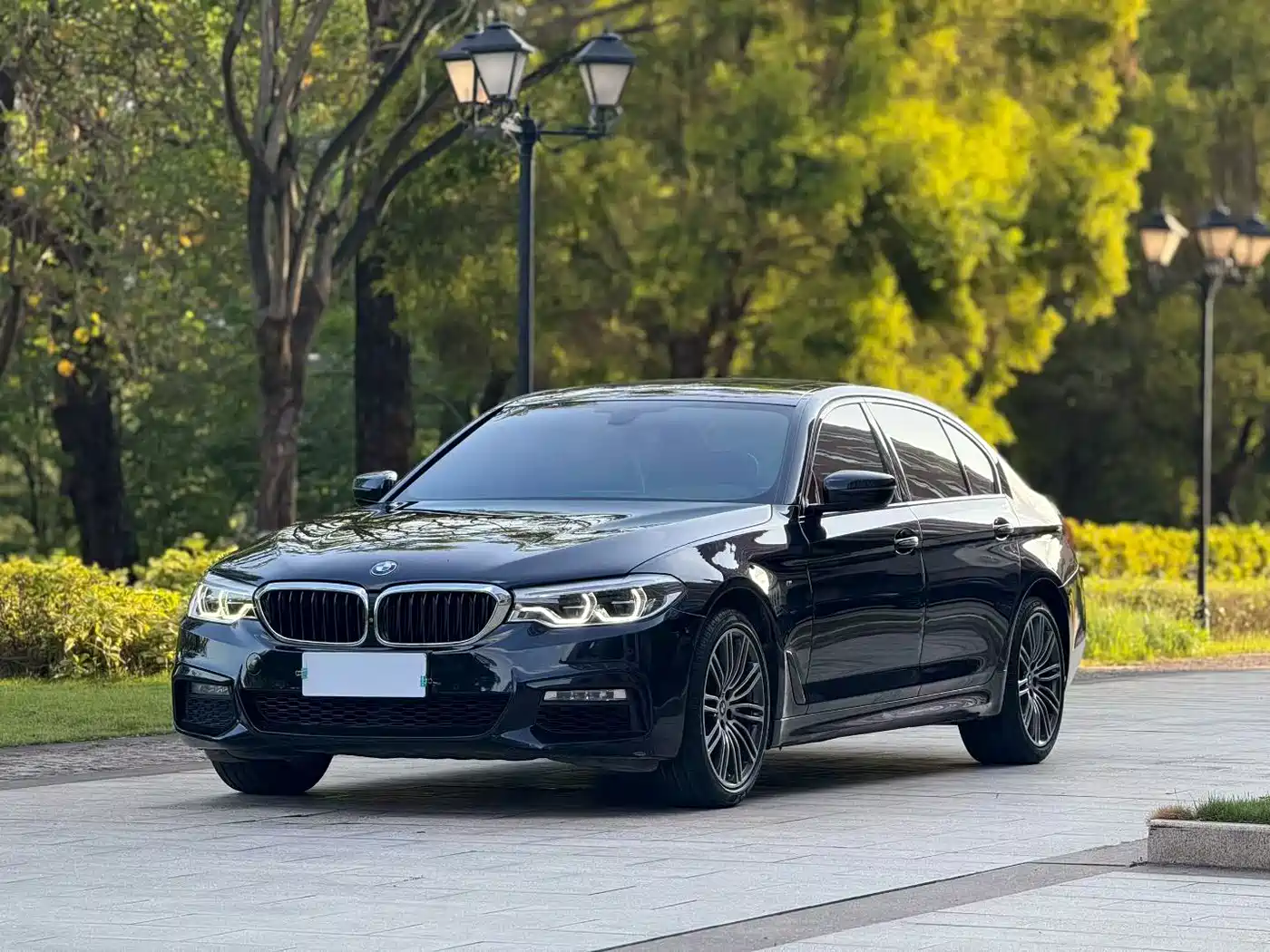 BMW 5 Series 2018 530Li Premium M Sport Package