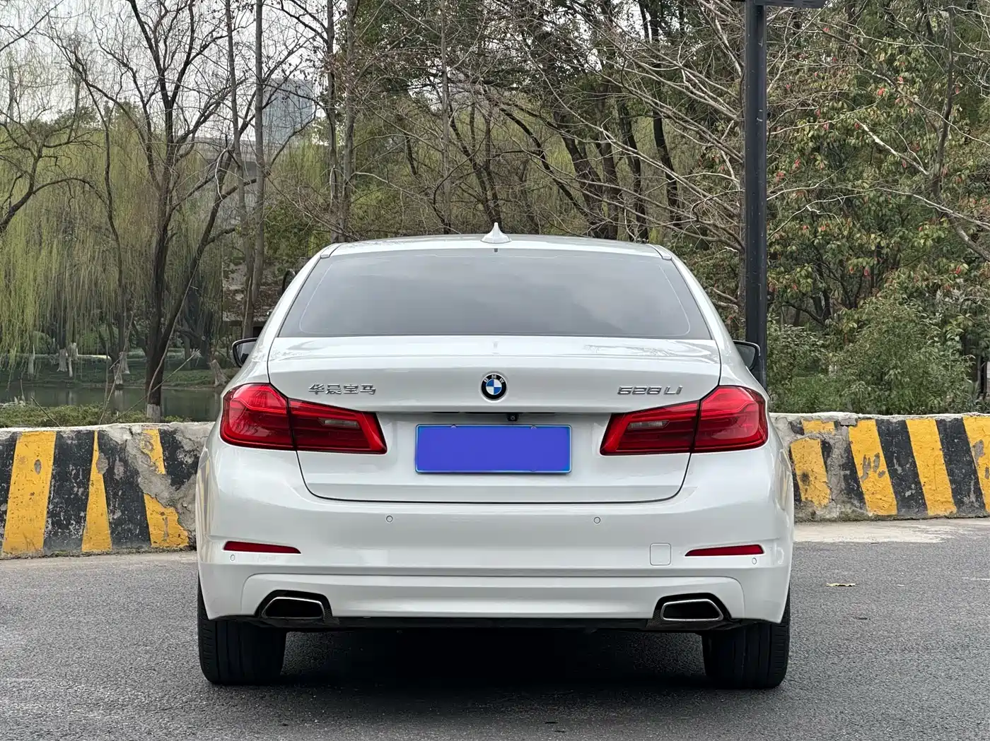 BMW 5 Series 2018 528Li Launch Special Edition фото 6