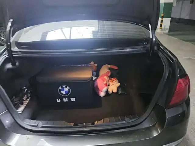 BMW 5 Series 2014 525Li Luxury Design Package — фото 5