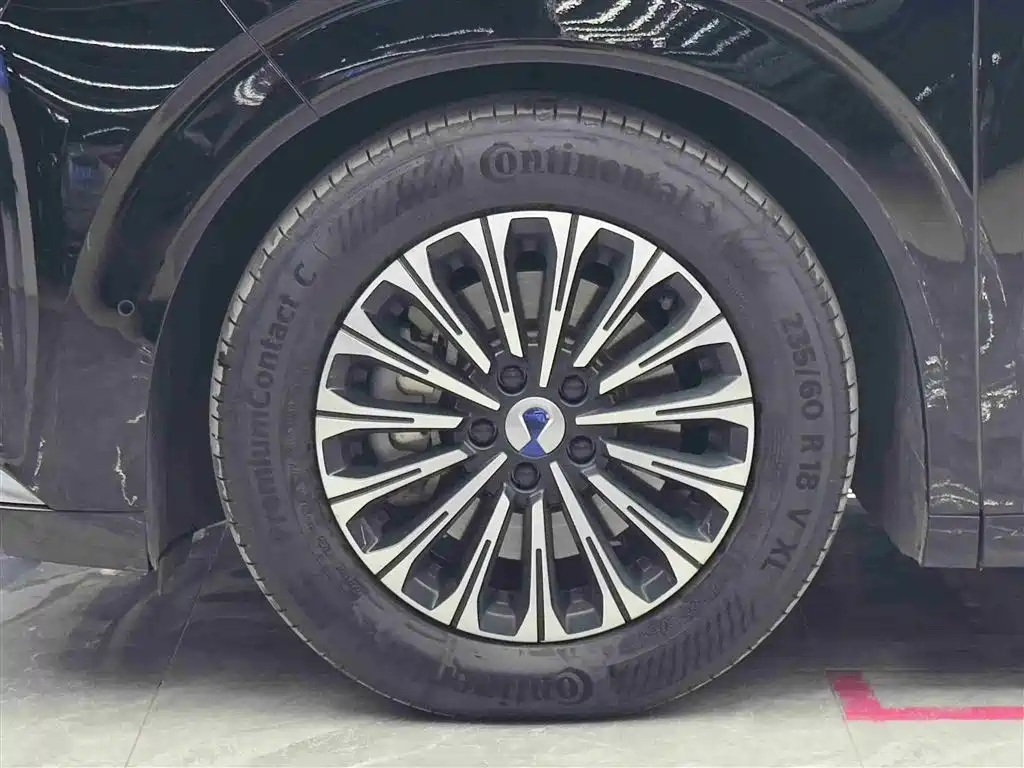 Denza D9 2024 PIONEER 4-Seater Pioneer Edition фото 4