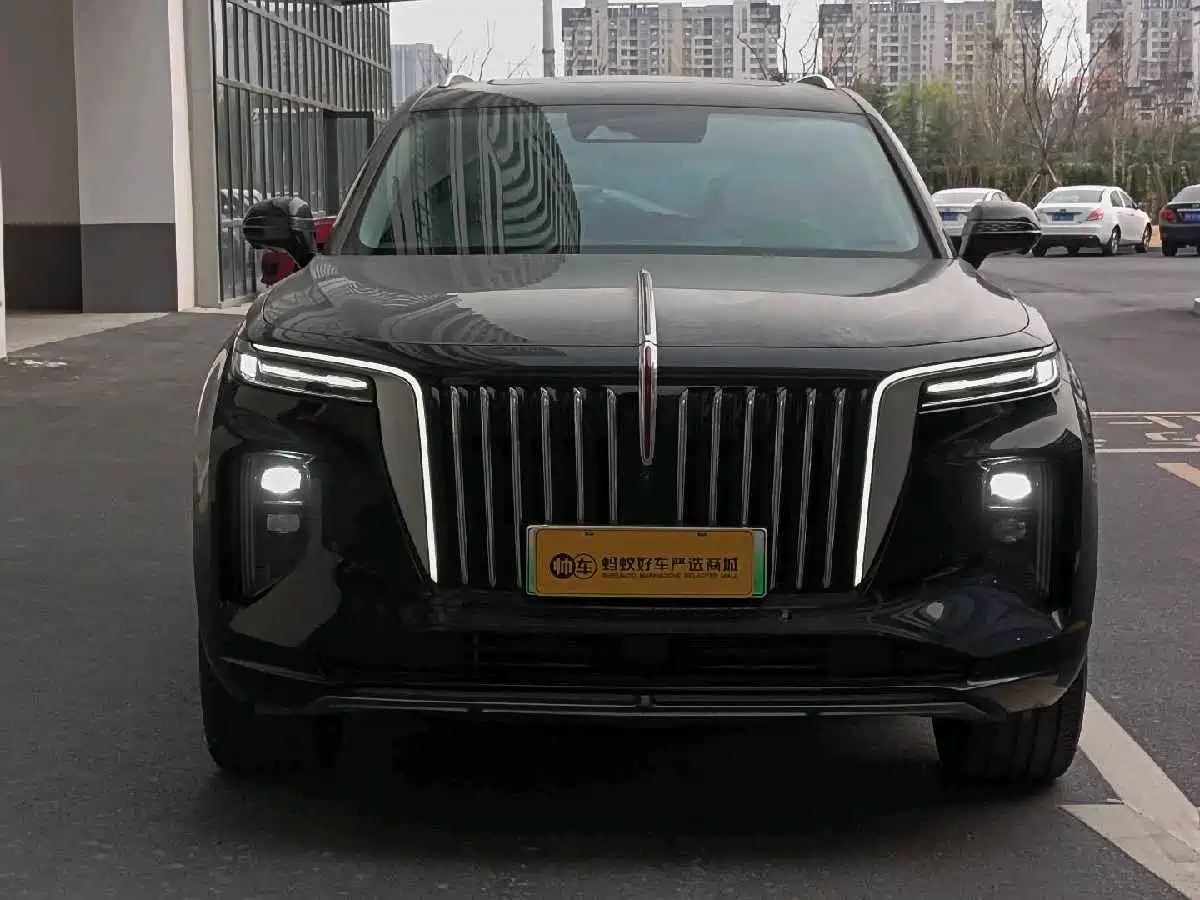 Hongqi E-HS9 2022 660km Qi Ling Edition (4-seater) фото 2