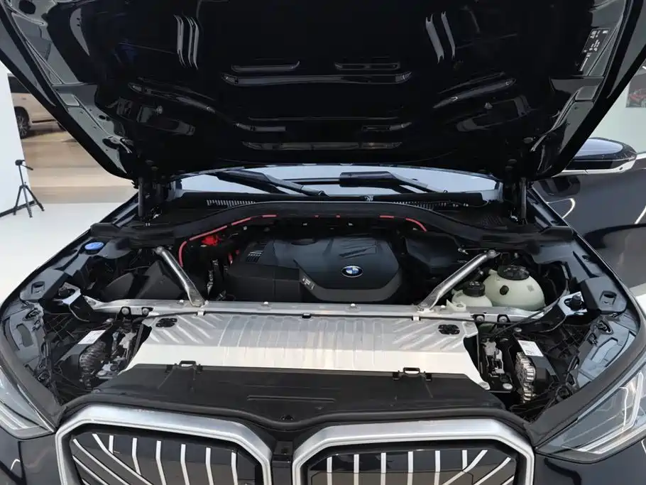 BMW X3 2025 xDrive30L Premium Model M Sport Black Package фото 12