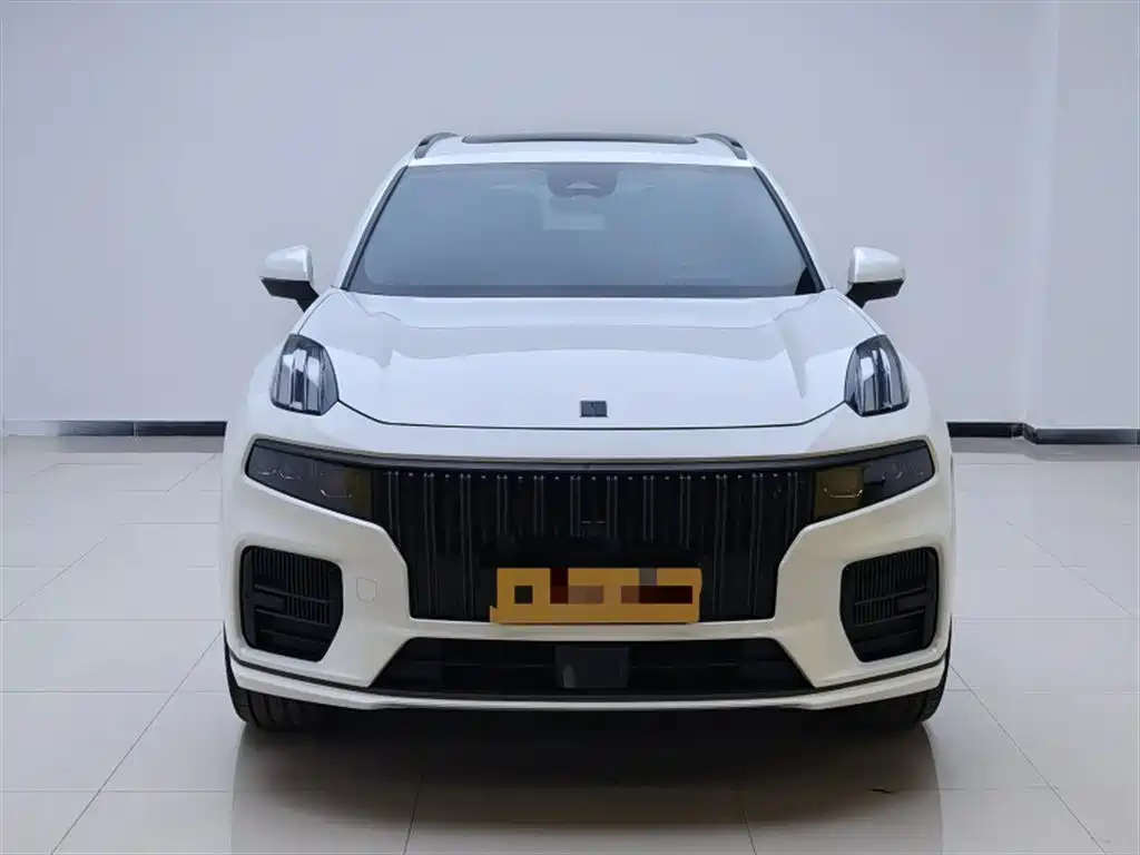 LYNK 09