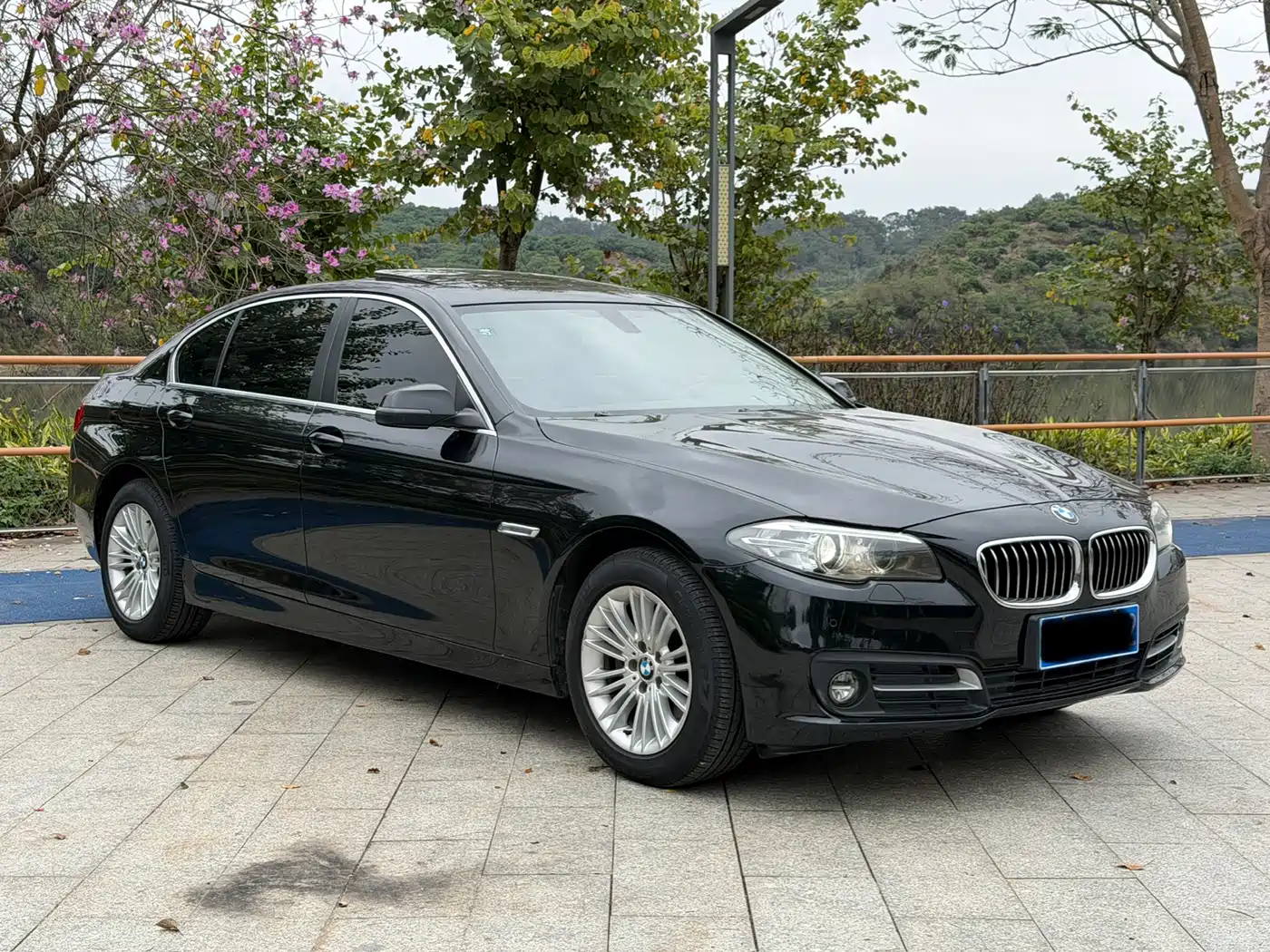 BMW 5 Series 2014 525Li Leading фото 3