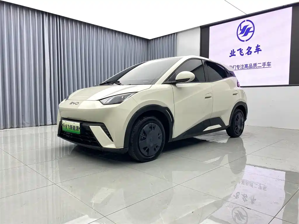 BYD Seagull 2025 305km Vitality