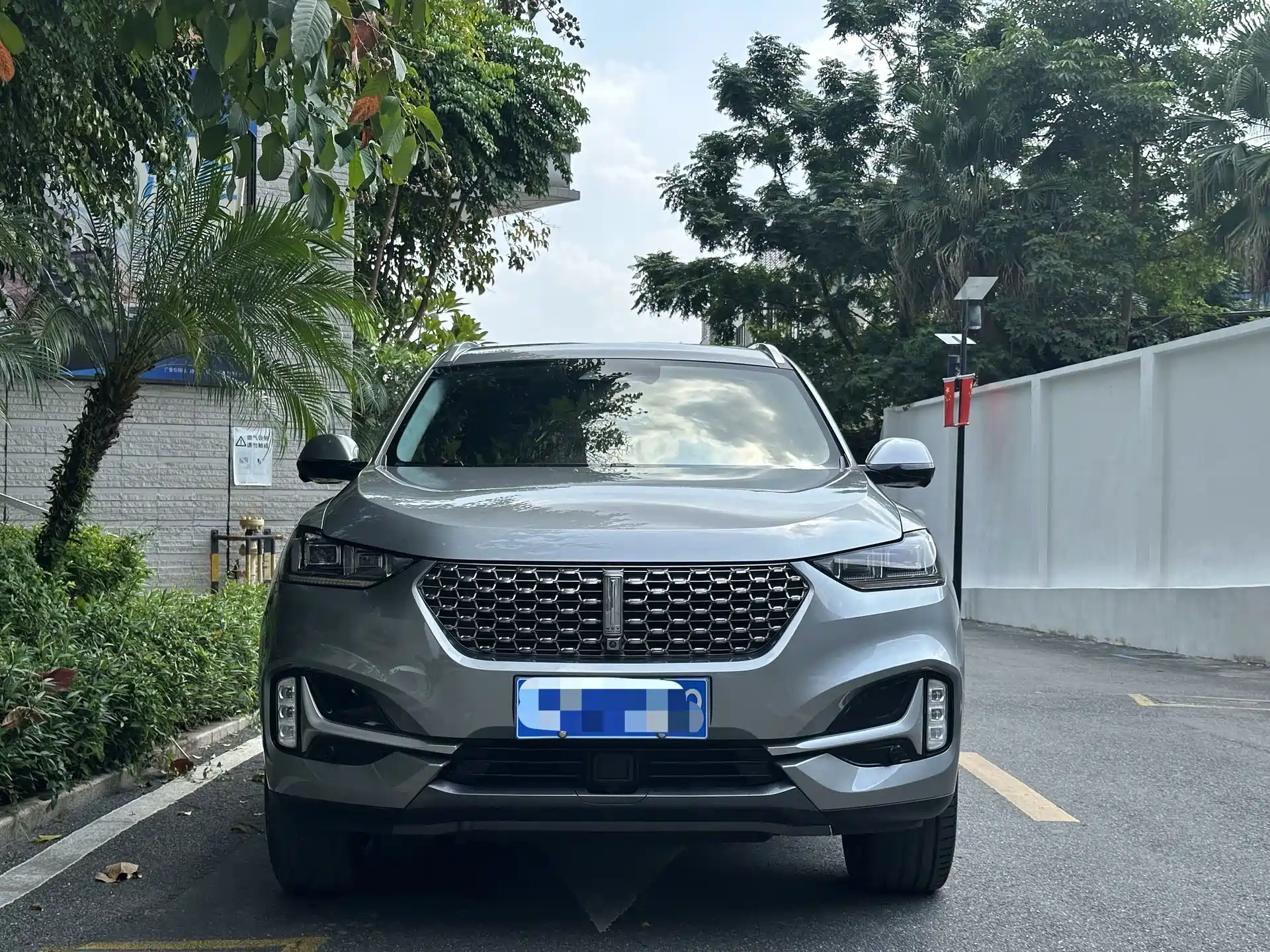 Фото 3 - WEY VV6