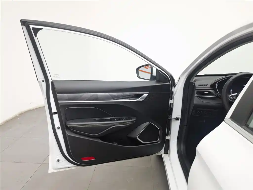 GEELY AUTOMOBILE BINRUI