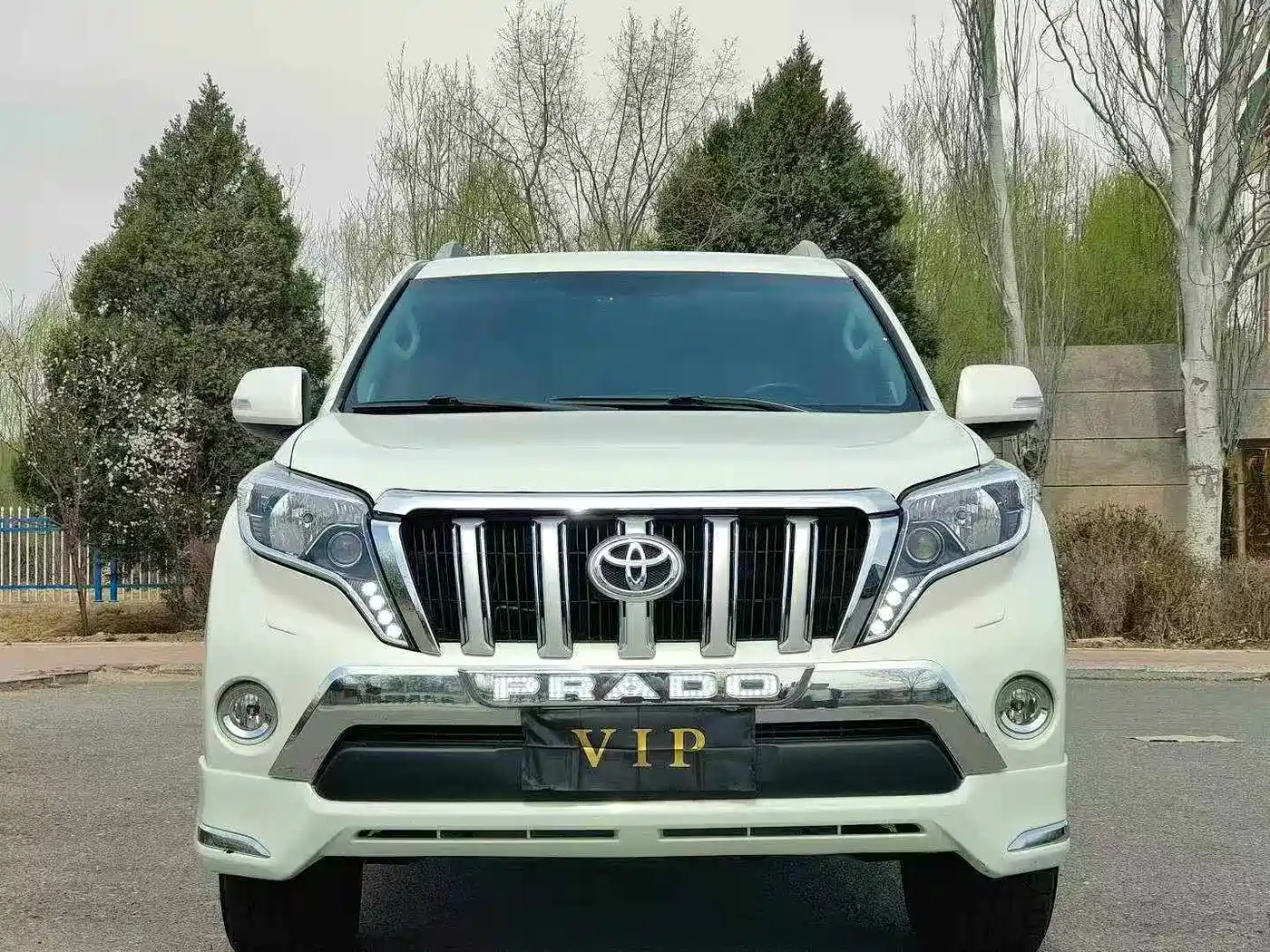Toyota Prado (Import) фото 2