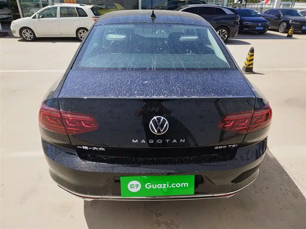 Volkswagen Magotan 2025 Facelift Public Edition 280TSI DSG Luxury фото 6