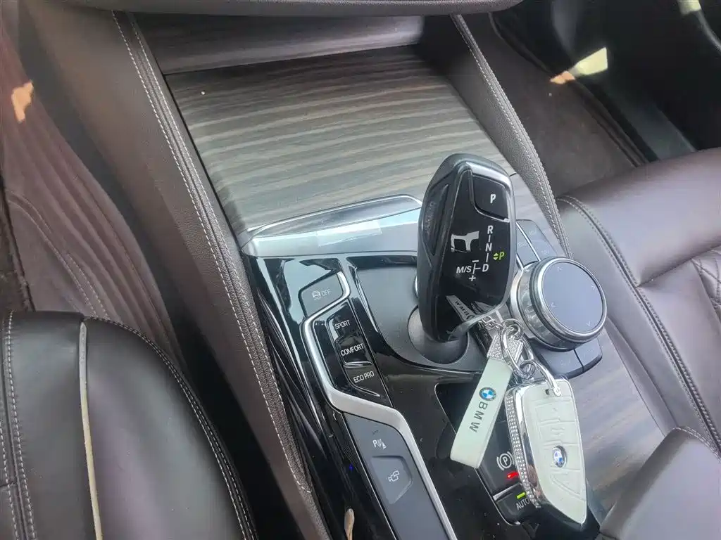 BMW 5 Series 2019 530Li Premium Luxury Package фото 10