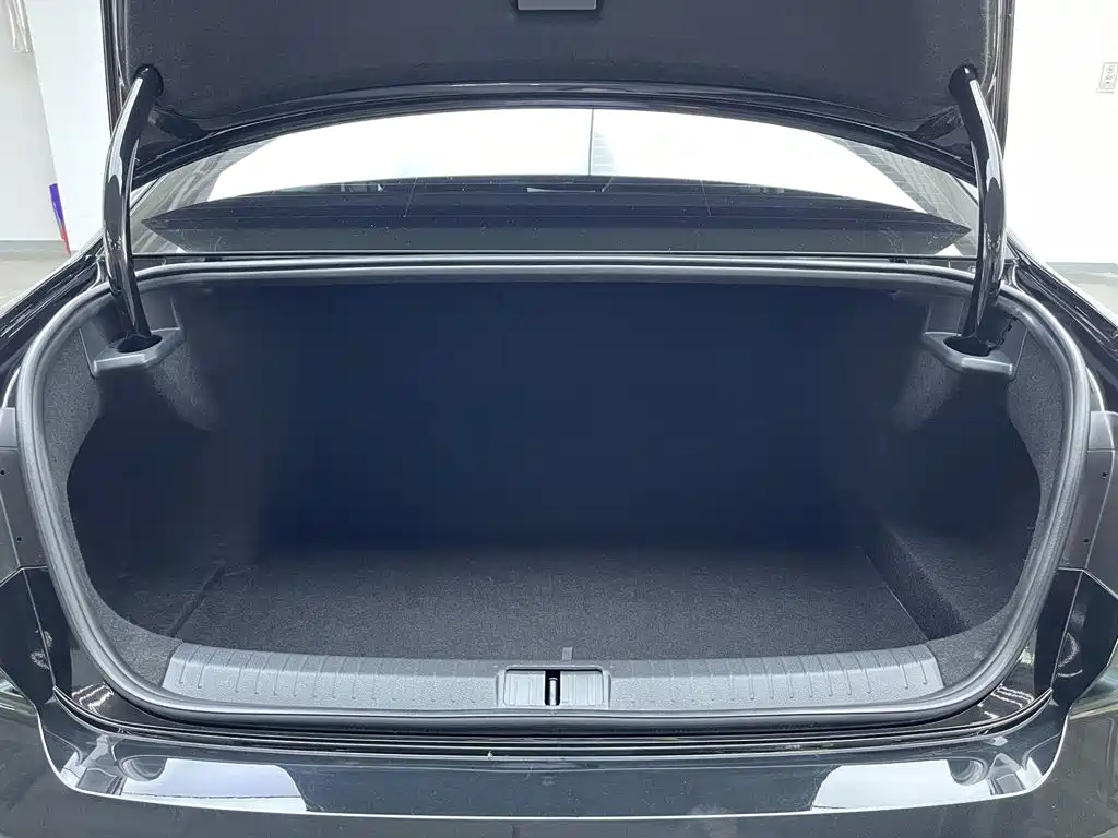 Volkswagen Magotan 2026 2026 Model 30 Million Special Selection 380TSI DSG Luxury
