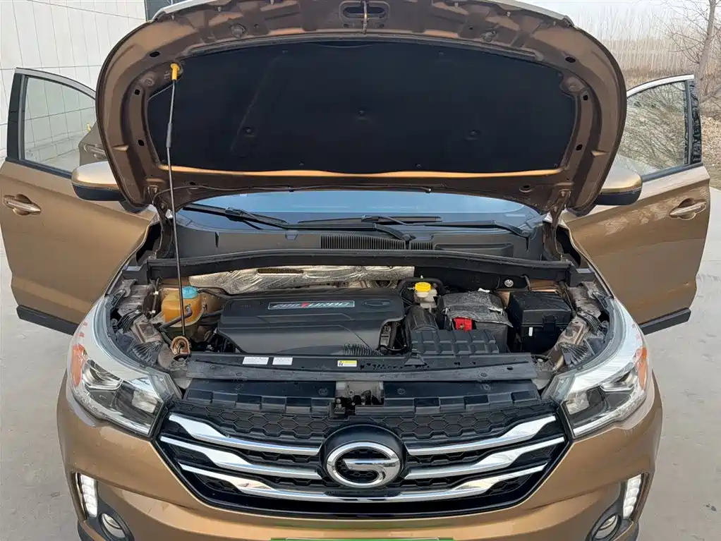 GAC Trumpchi Trumpchi GS4 2015 200T G-DCT Luxury Edition фото 18