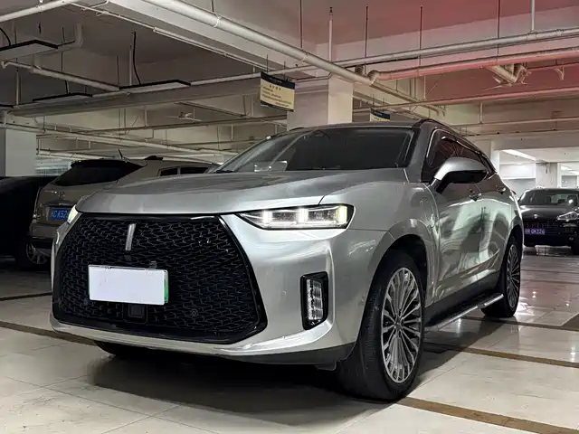 WEI PAI WEI BRAND P8