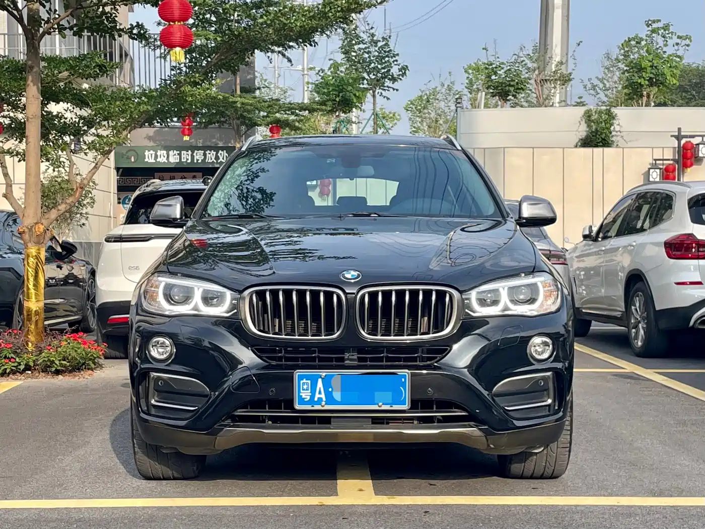 BMW X6 2018 xDrive35i M Sport Luxury Model фото 2