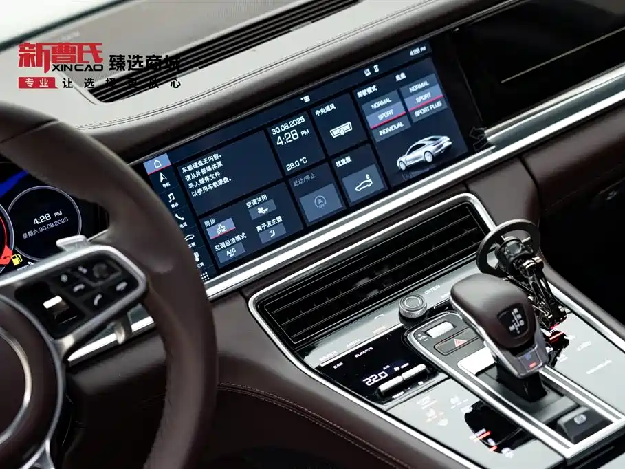Porsche Panamera 2020 Panamera 10th Anniversary Edition 2.9T фото 14