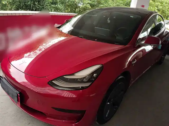 TESLA MODEL 3 2020