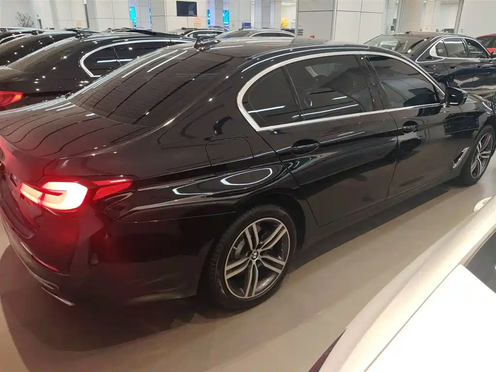 BMW 5 Series 2023 530Li Leading Luxury Package фото 5