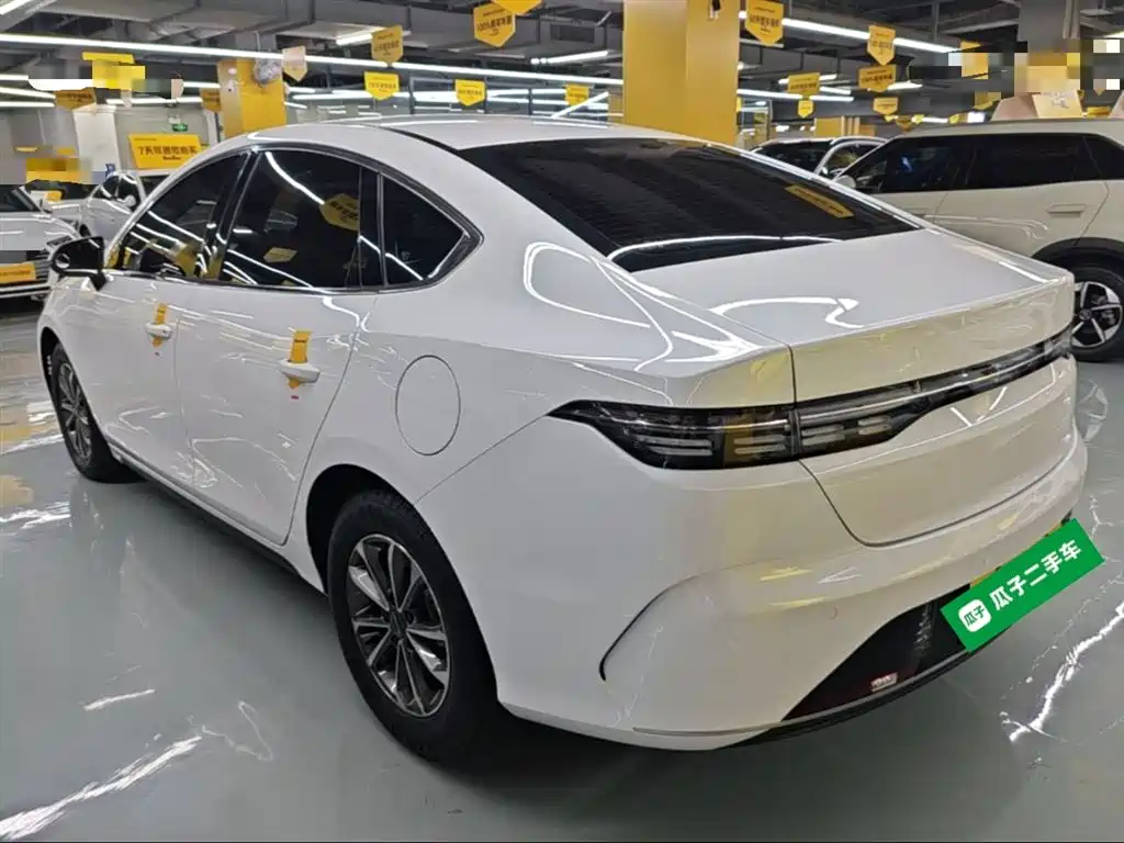 BYD Destroyer 05 2024 Glory Edition DM-i 55KM Luxury фото 5