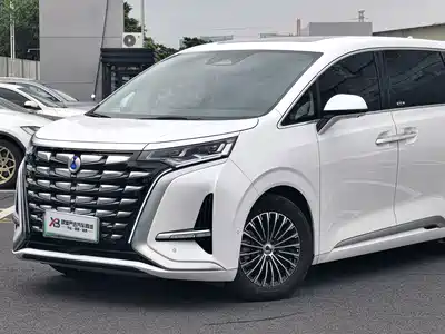 Denza D9
