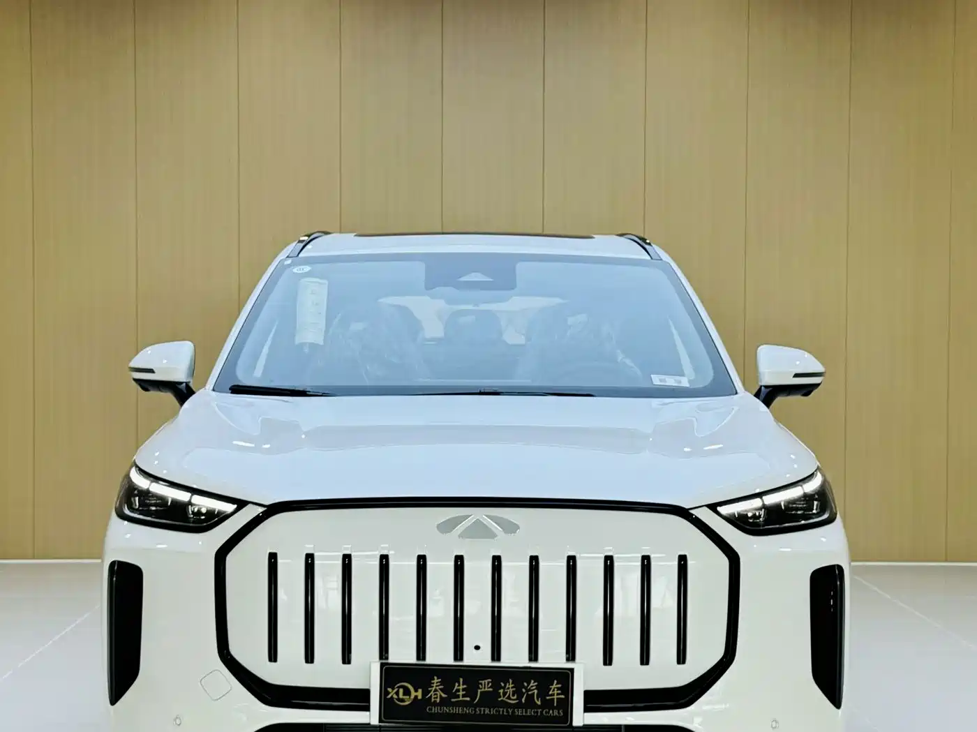 2026 Chery Fengyun Fengyun T9