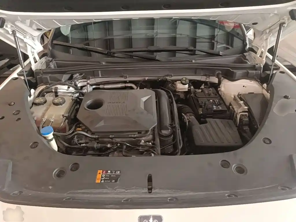 Фото 20 - Roewe RX5