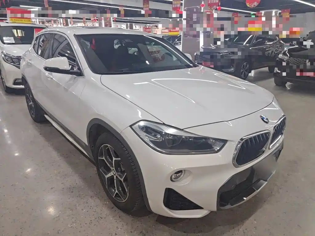 BMW X2 (Import) 2019 2019 sDrive20i M Off-Road Package China VI