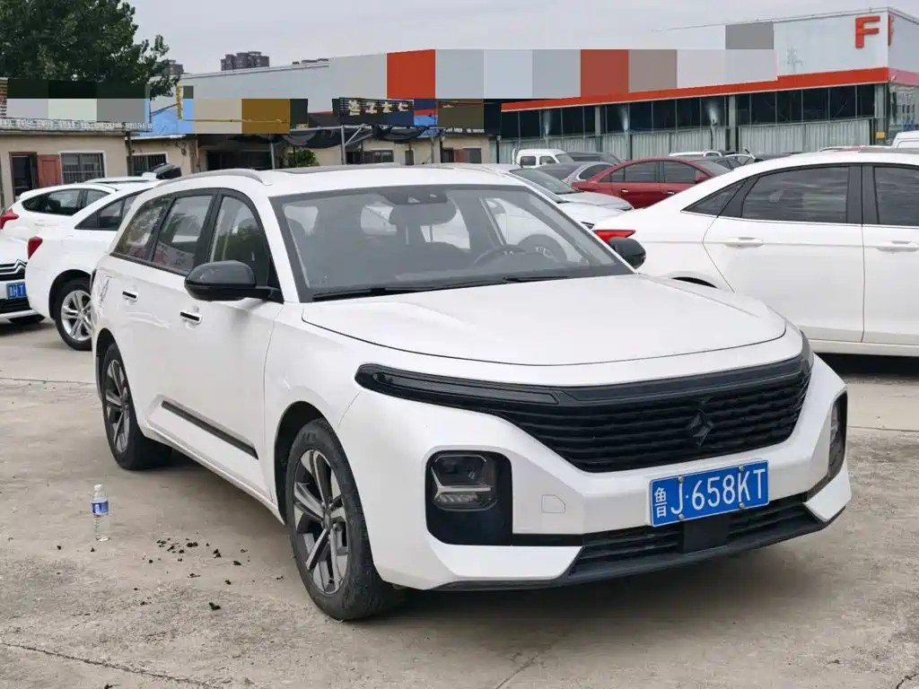 2021 Baojun Valli