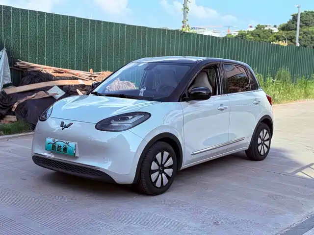  Wuling Motors Wuling Bingo 2023 203km Comfort Version