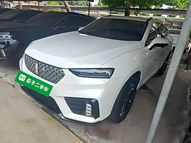 WEY Wey VV7 New Energy 2020 PHEV 2.0T Flagship Model