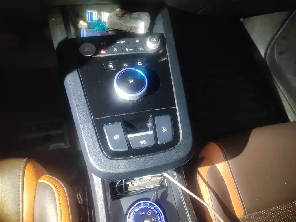 BYD e2 2021 Luxury Edition фото 10