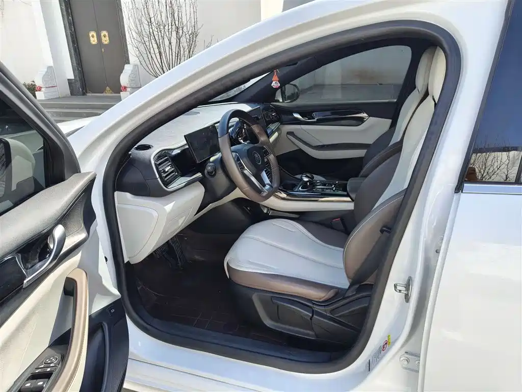 BYD Qin PLUS 2024 Glory Edition DM-i 55KM Leading фото 13