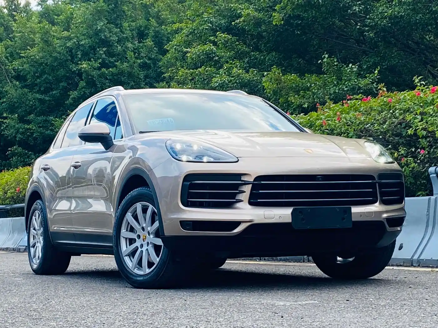 Porsche Cayenne 2018 Cayenne 3.0T фото 5