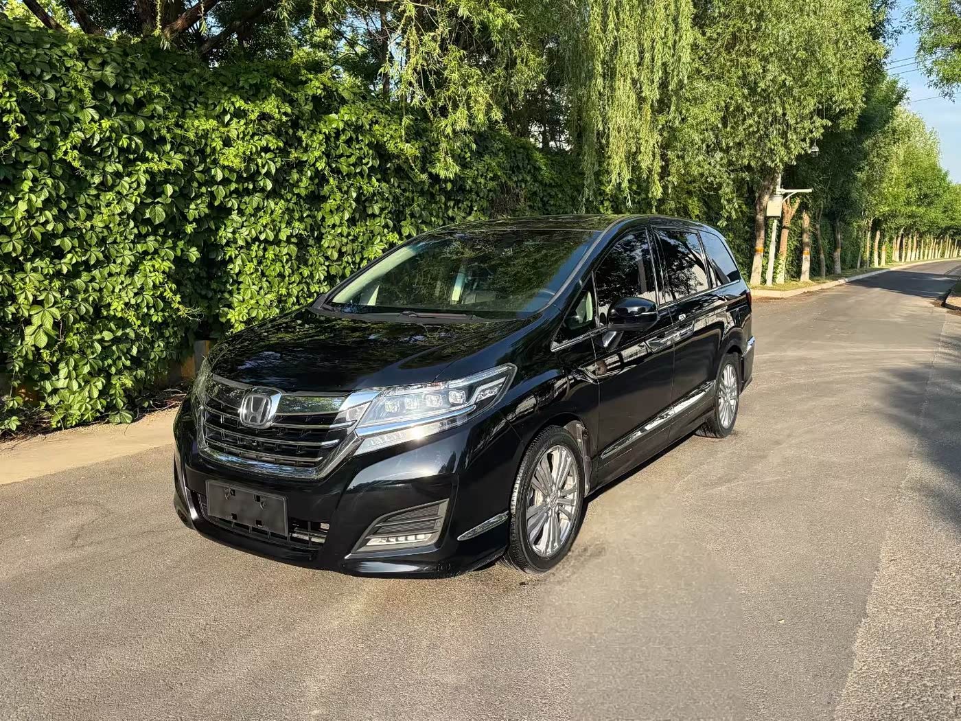 Honda Elysion