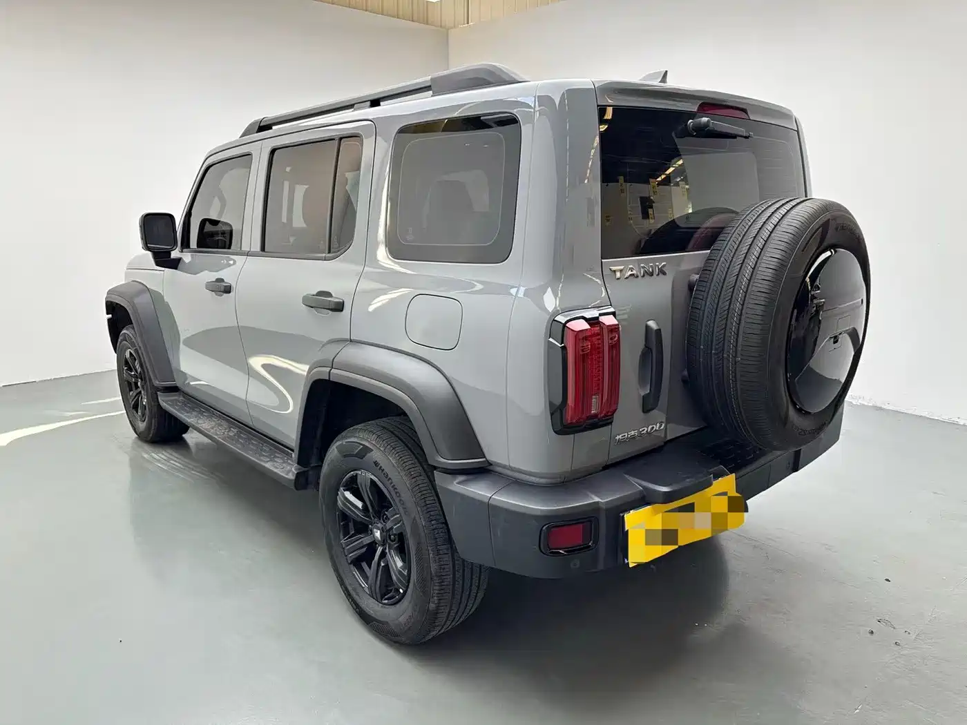 Tank 300 2021 2021 Off-road Version 2.0T Conqueror