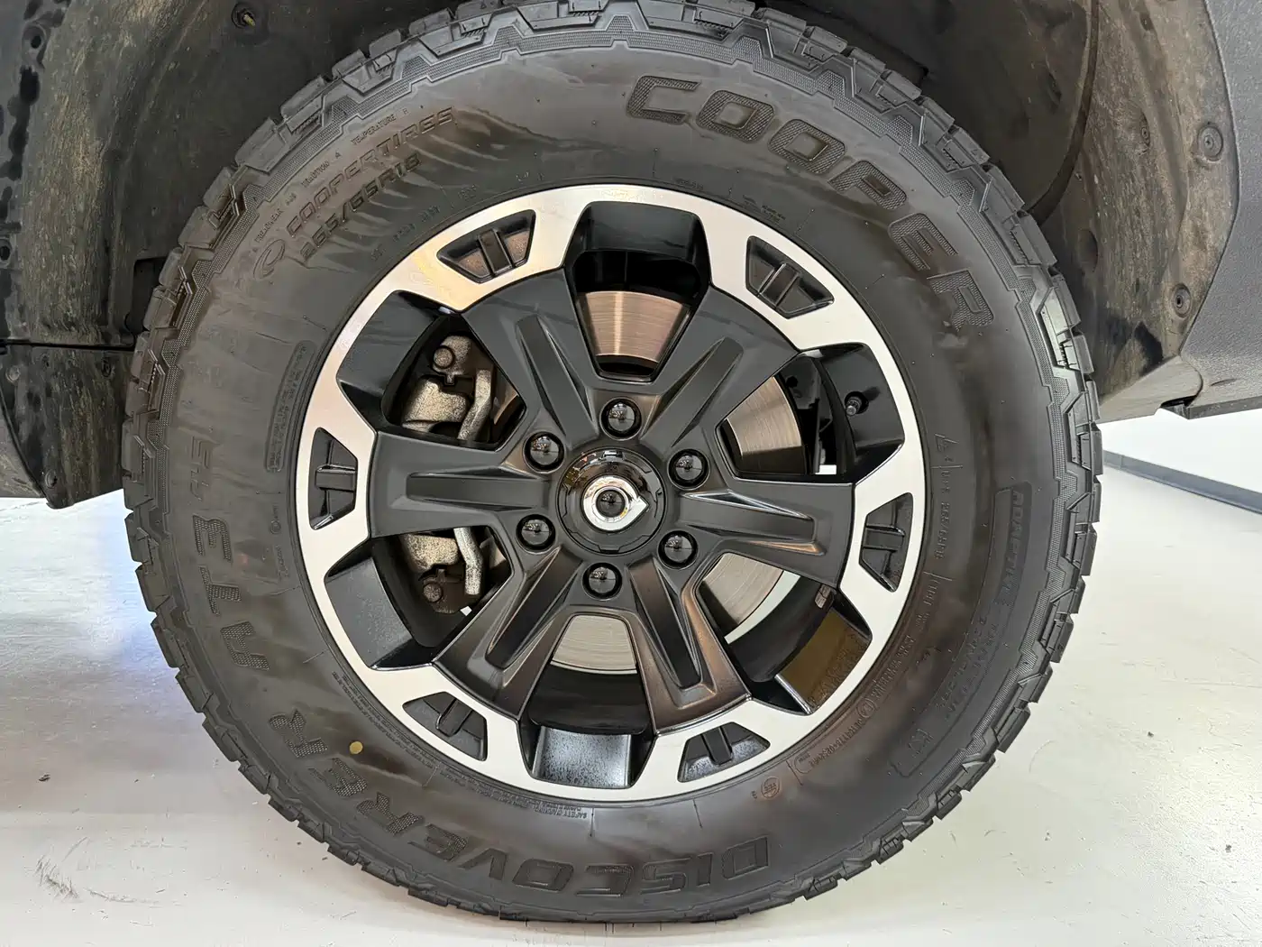 GREAT WALL MOUNTAIN AND SEA CANNON HI4 T