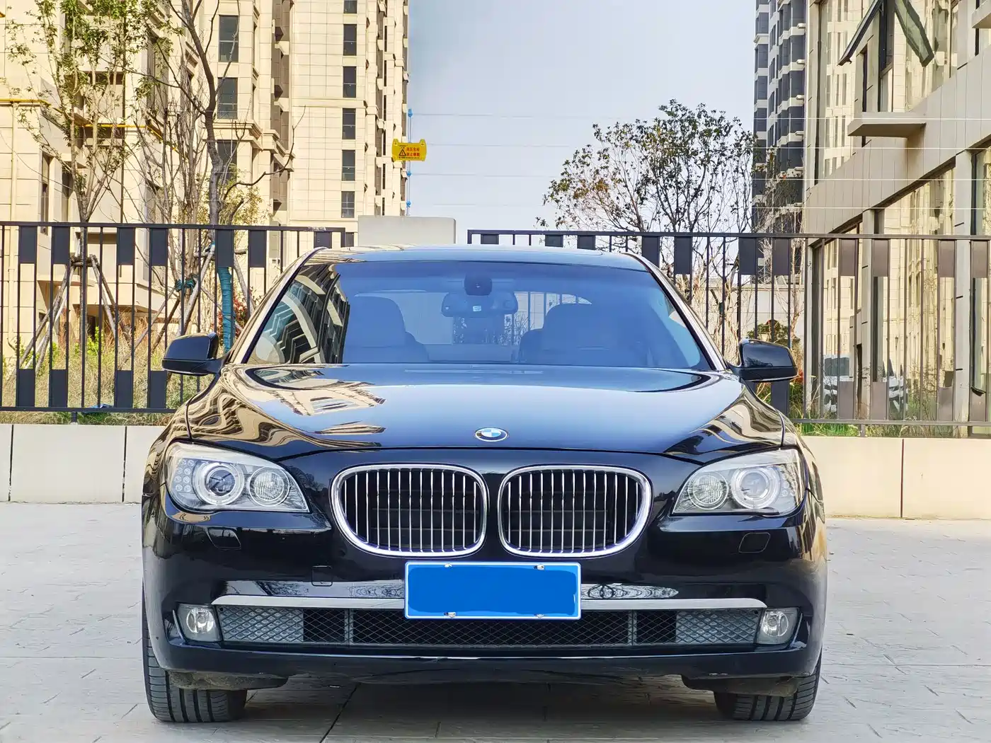 BMW 7 Series 2009 730Li Luxury фото 2