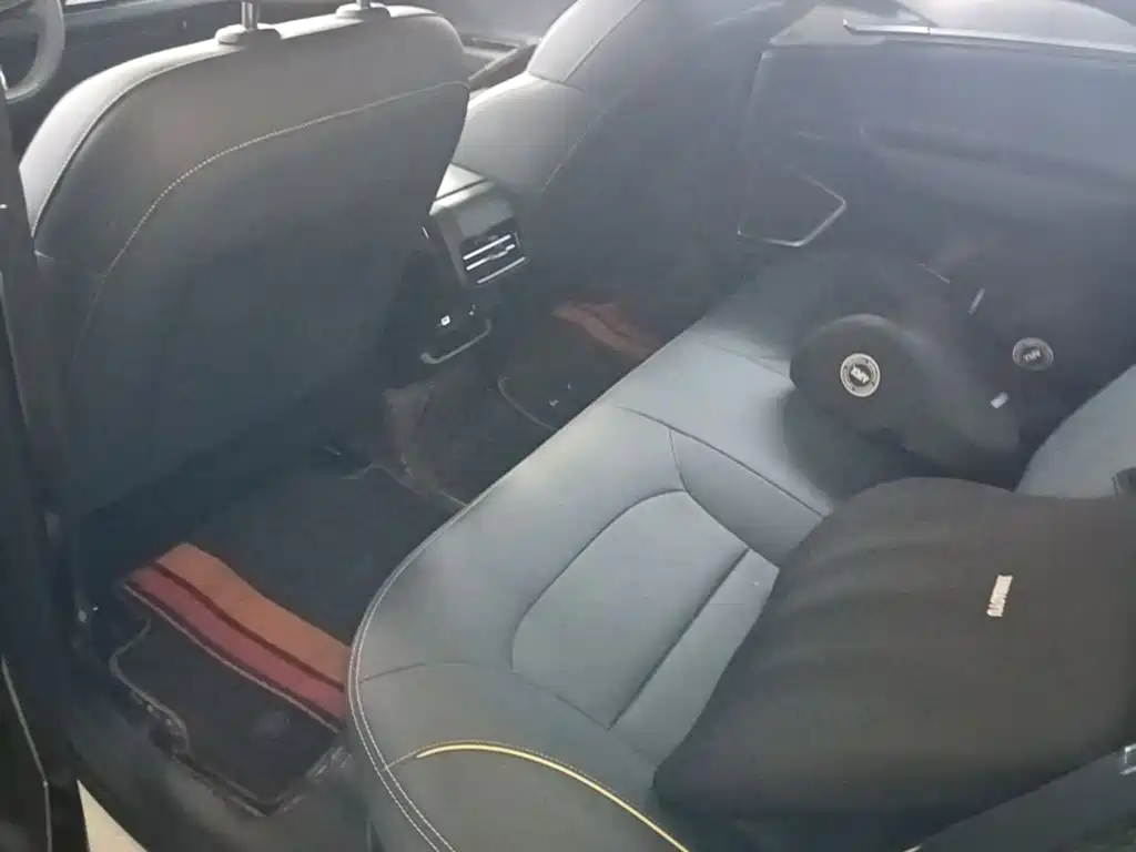 Geely Geometry G6 2024 2024 500KM Premium