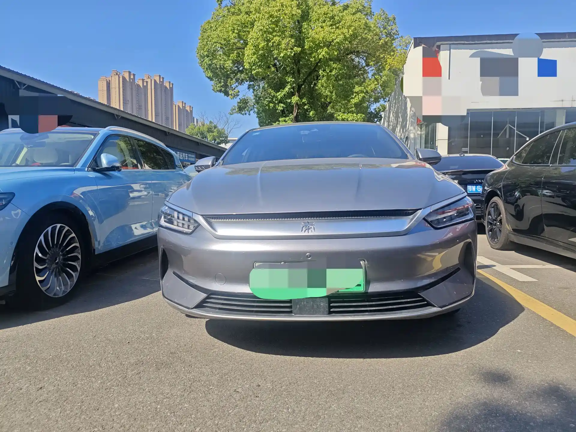 Фото 2 - BYD Qin PLUS