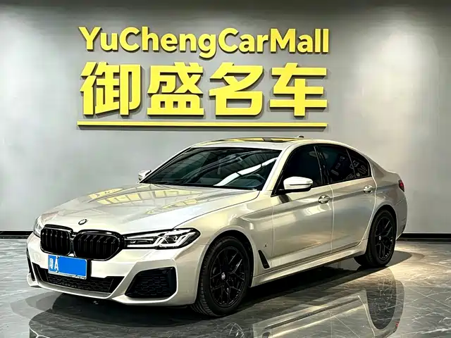 BMW 5 Series (Import) 2021