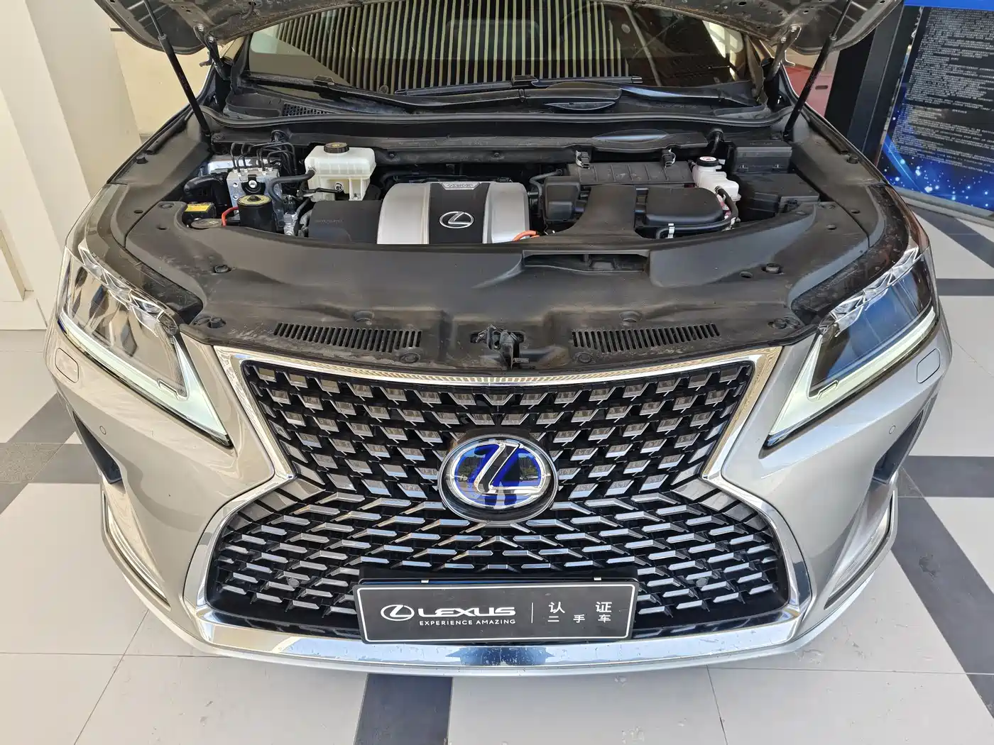 Lexus RX 2020 450h 4WD Elegance Edition China VI фото 23