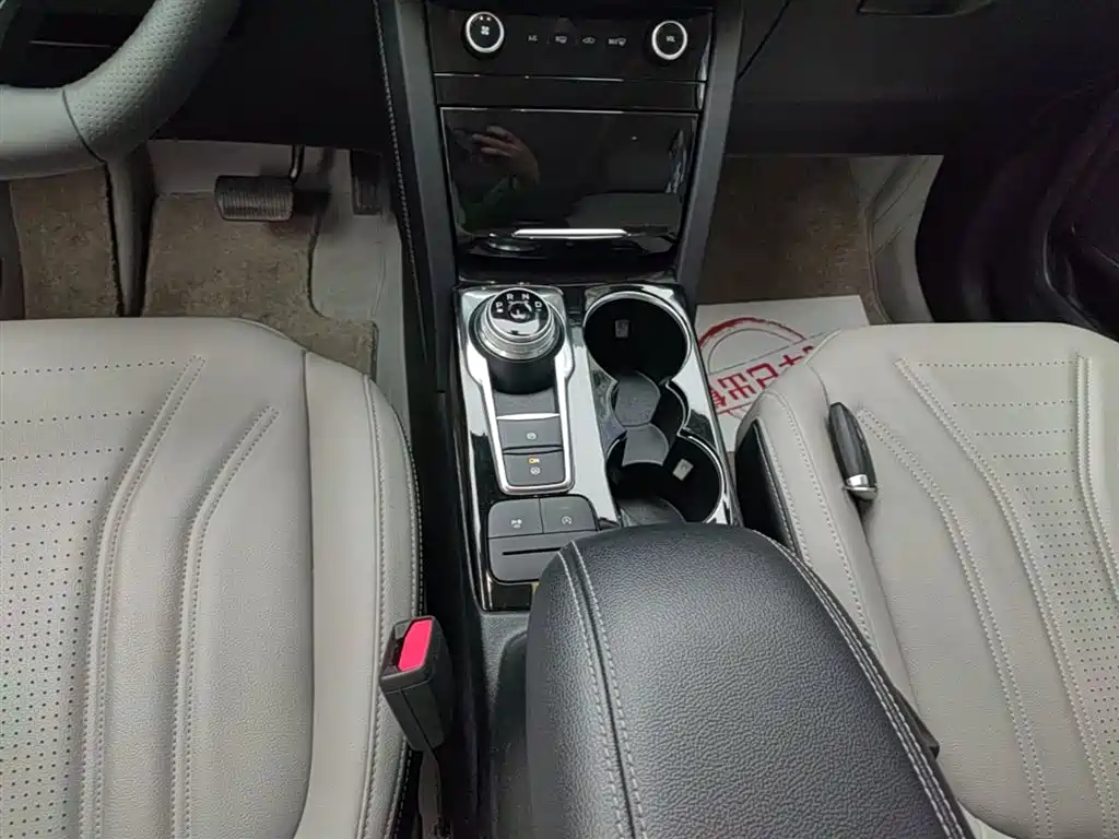 FORD RUIJI