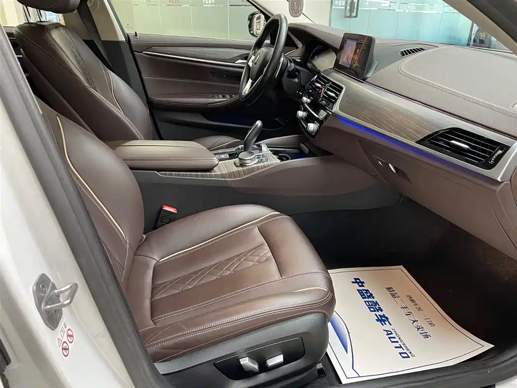 BMW 5 Series 2020 530Li xDrive Luxury Package фото 19