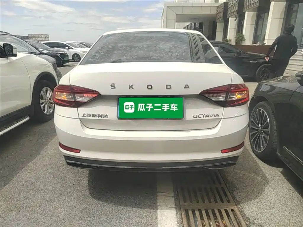 Škoda Octavia 2019 1.5L Automatic Smart Luxury China VI фото 6