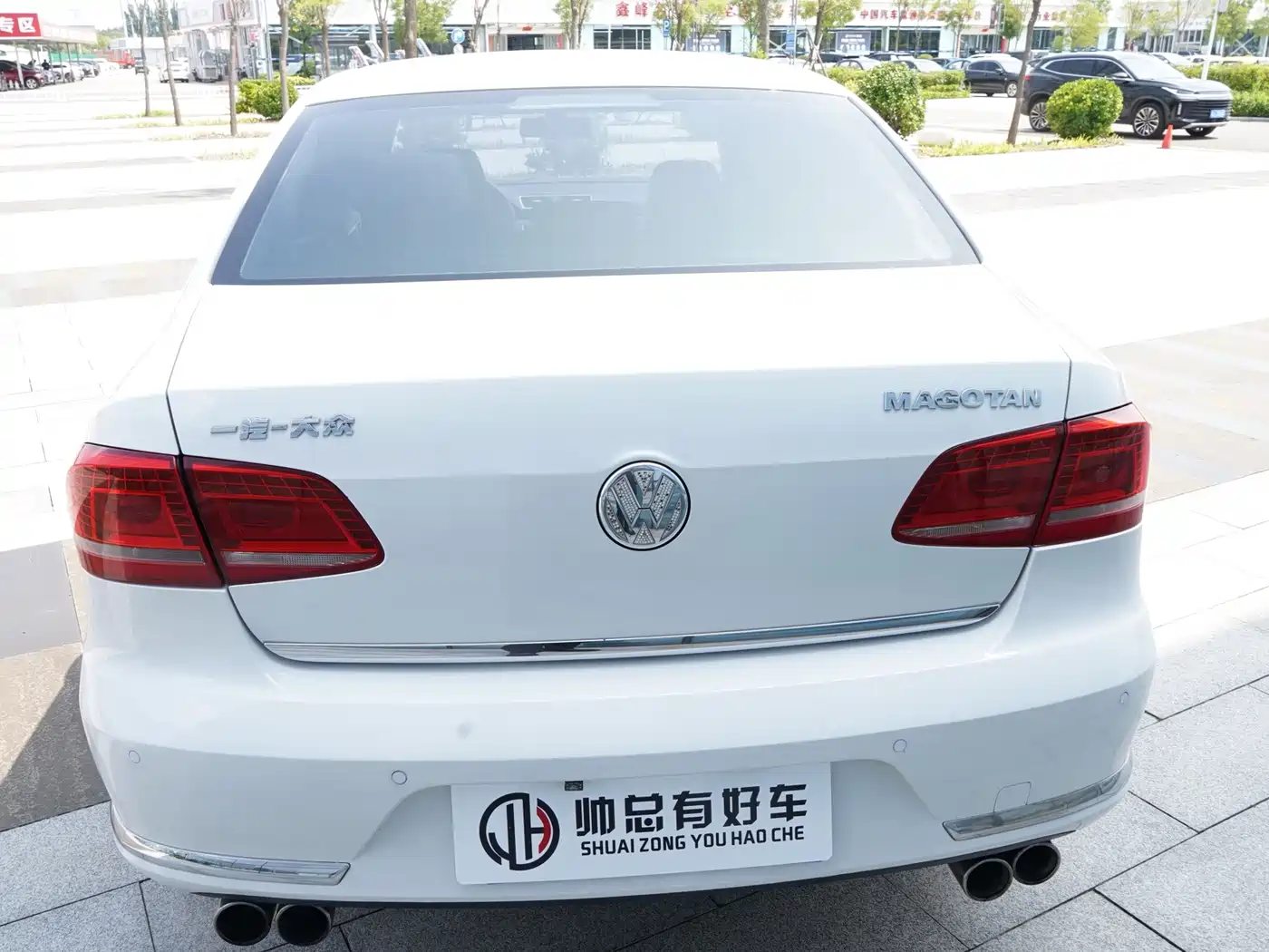 Фото 5 - Volkswagen Magotan