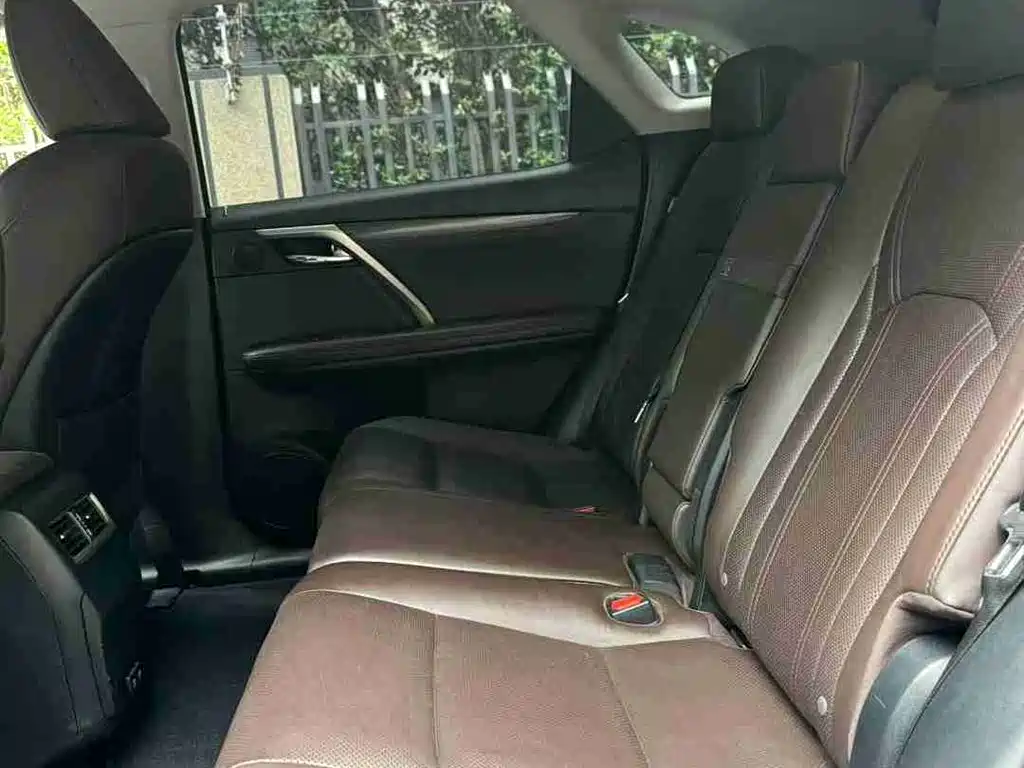 Lexus RX 2020 300 AWD F SPORT (China VI) фото 10