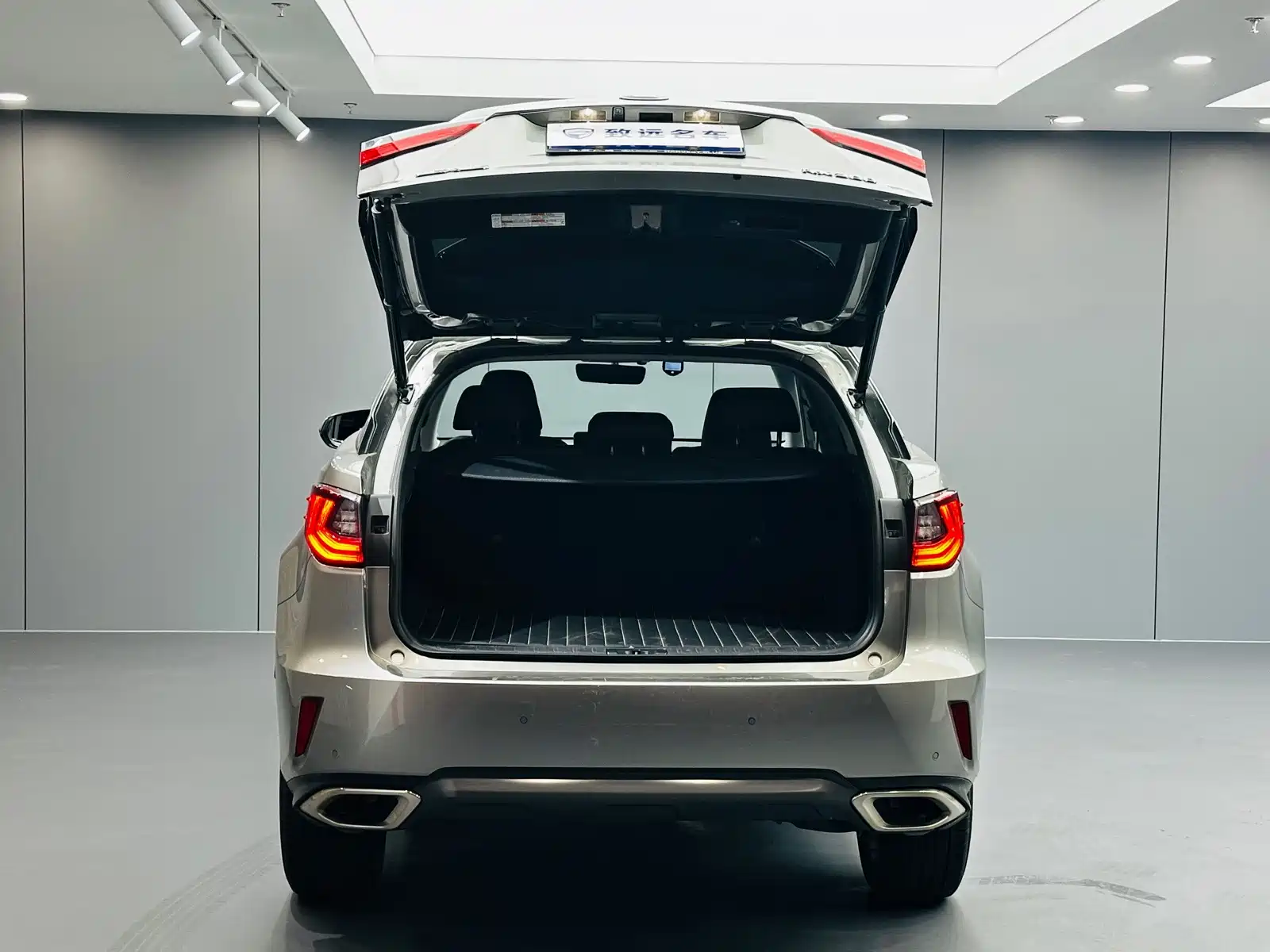 Фото 25 - Lexus RX